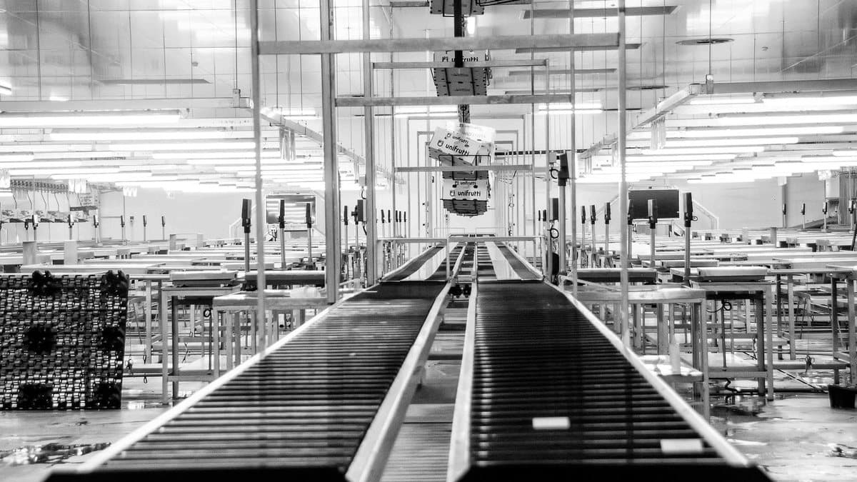Two parallel conveyor belts lead through a brightly lit industrial facility with rows of tables and suspended boxes overhead.