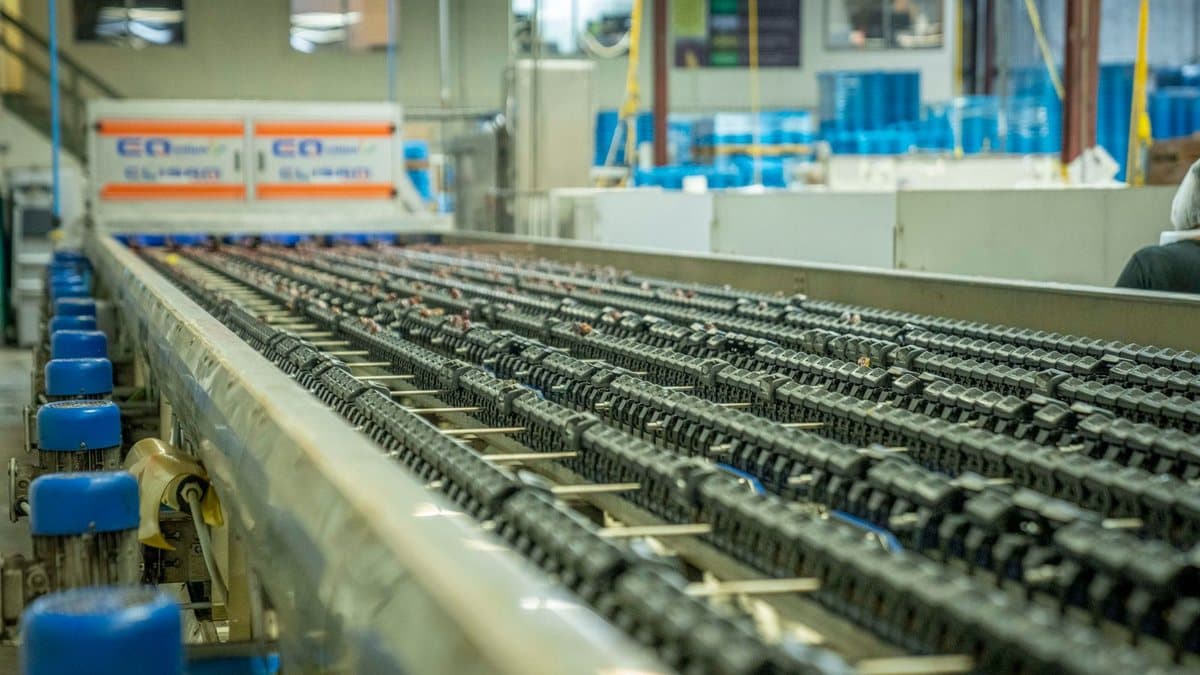A long industrial conveyor belt moves many small grippers holding reddish objects, with blue motors alongside and a worker in the background.