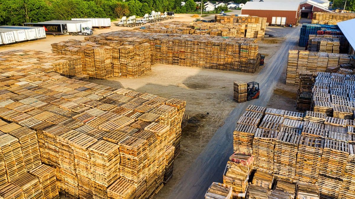 Huge stacks of wooden pallets fill an expansive outdoor storage yard, with trucks parked and a forklift moving more.