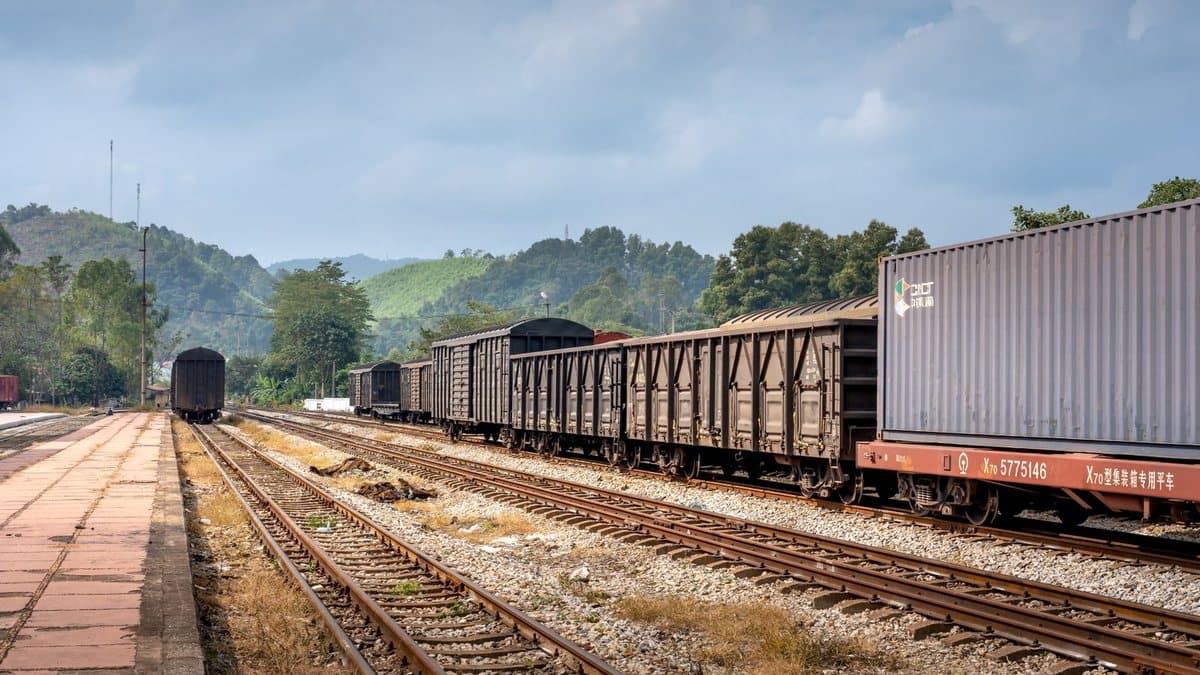 Several freight trains with various cars, including a container, are parked on multiple tracks at a station platform amidst green mountains.
